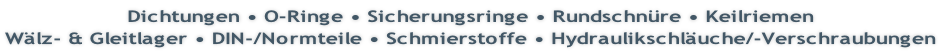 Dichtungen • O-Ringe • Sicherungsringe • Rundschnüre • Keilriemen Wälz- & Gleitlager • DIN-/Normteile • Schmierstoffe • Hydraulikschläuche/-Verschraubungen